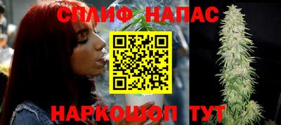 стаф Пугачёв