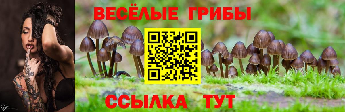 Псилоцибиновые грибы ЛСД Отрадное